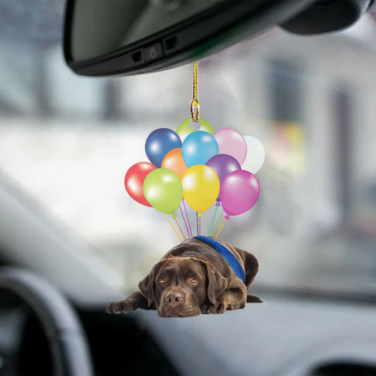 Chocolate Labrador hond fly met ballonnen autohanger